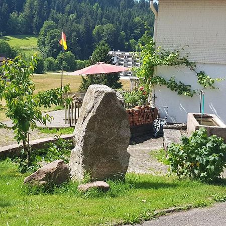 Ferienhof Ziegler- Sonnenschein Baiersbronn Exterior foto